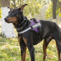 Vest Harness for Medium to Large Dogs