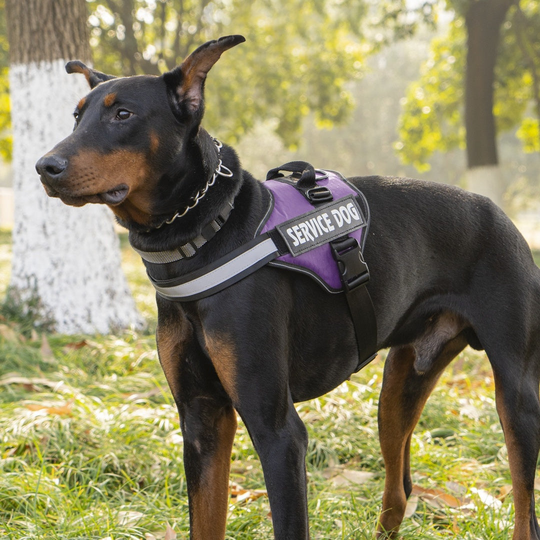 Vest Harness for Medium to Large Dogs