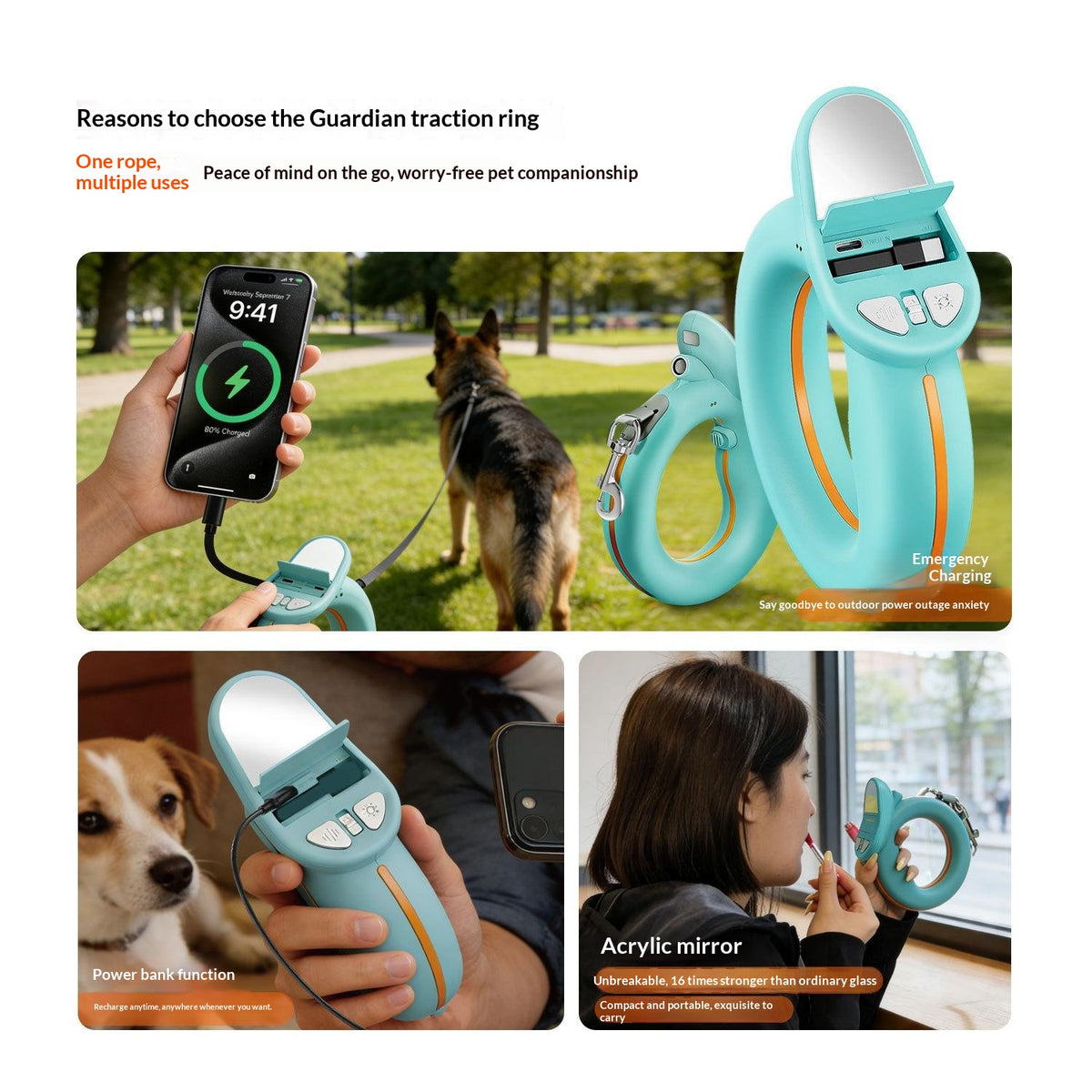 Leash With Dog Repeller And Power Bank