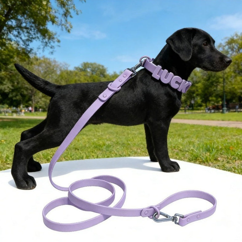 Pet Silicone Collar With Diy Letter And Rhinestone Accents, Adjustable