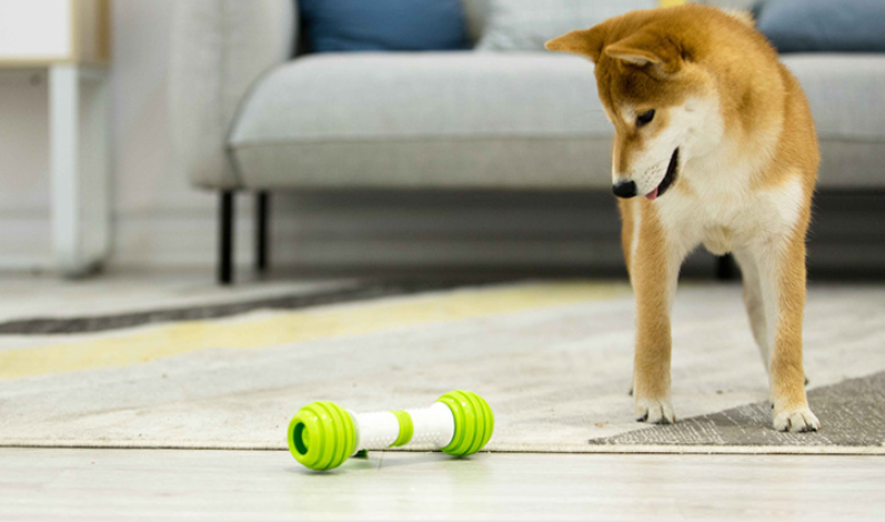 Guiwei Happy Bone Electric Automatic Dog Toy