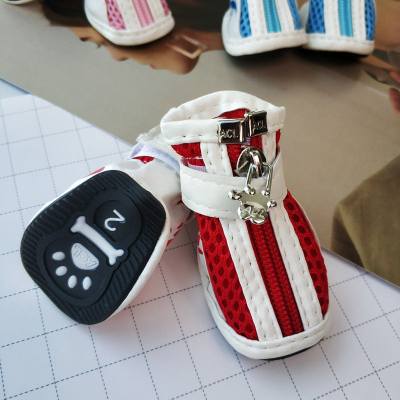 Vip Teddy Schnauzer Zipper Pet Sneaker