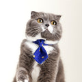 Adjustable Dog Neck Accessories