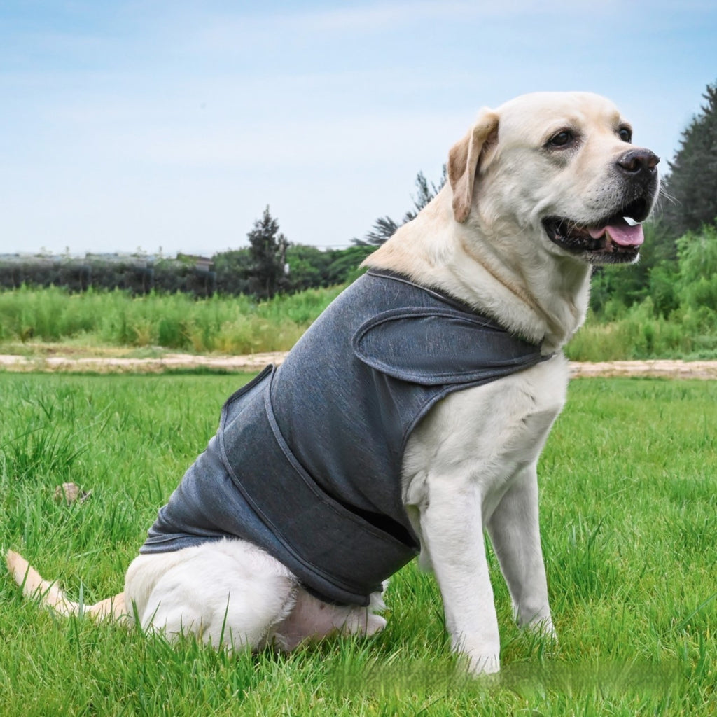 Dog Separation Anxiety Soothing Tank Top