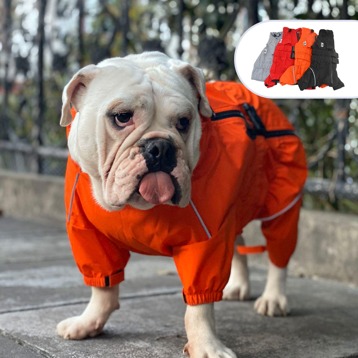 Four-Legged Dog Raincoat