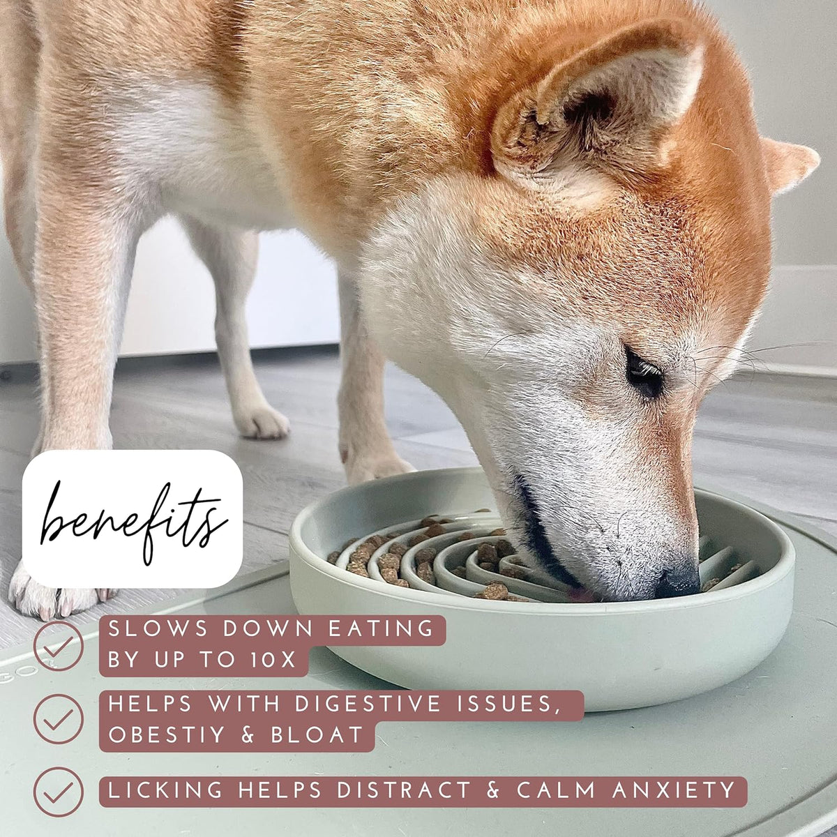 The Slowdown Bowl Silicone Slow Feeder For Dogs Puppies Slow Eating Modern Lick Mat Design Reduces Gulping Dishwasher Fit For All Breed Meal