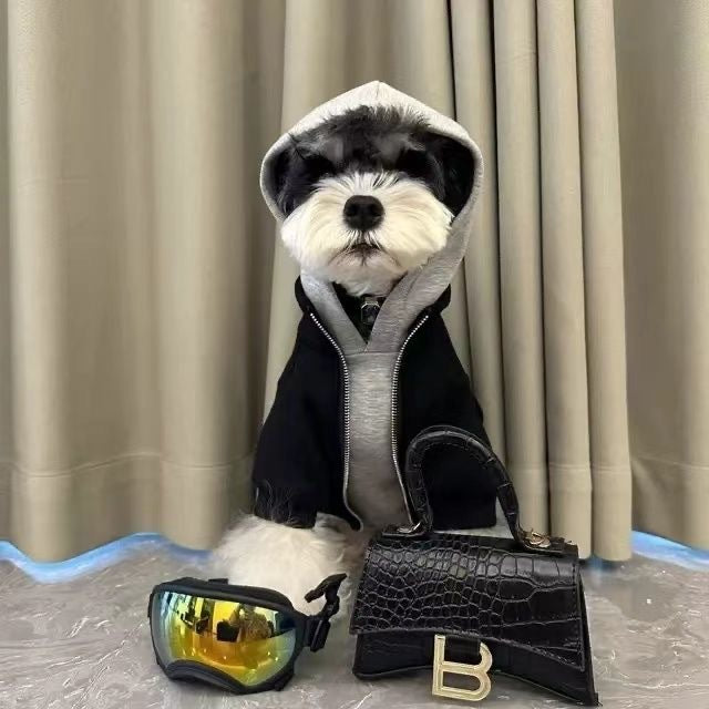 Fake Two Piece Dog Hooded Sweatshirt