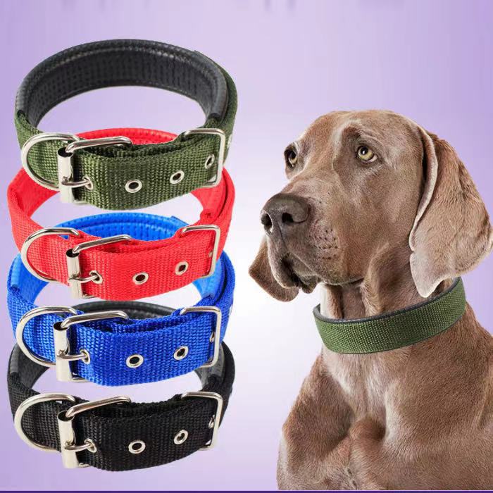 Adjustable Nylon Dog Collar