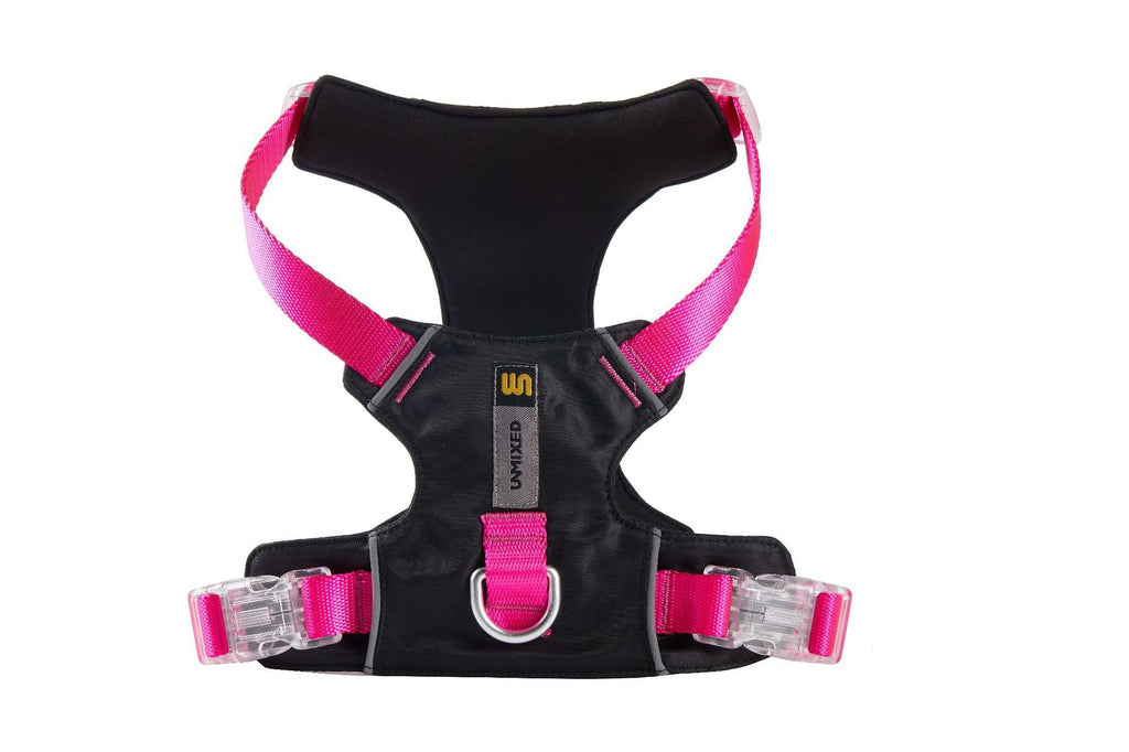 Adjustable, Scratch-Resistant Outdoor Dog Leash