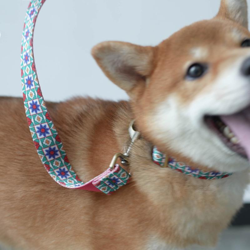 Kaleidoscope Dog Harness Set For Training