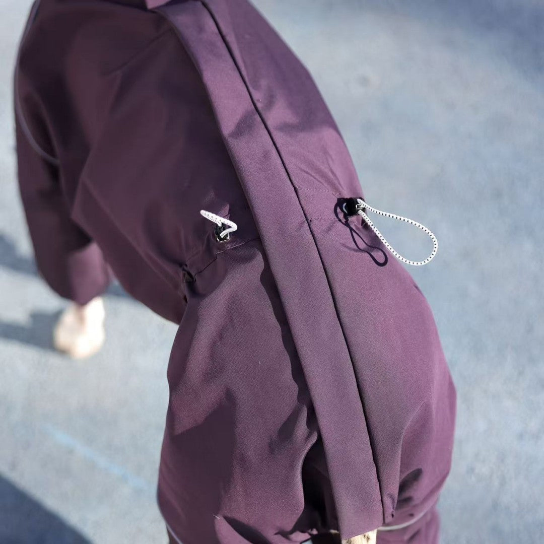 Stain-Resistant Thin Raincoat for Large Dogs