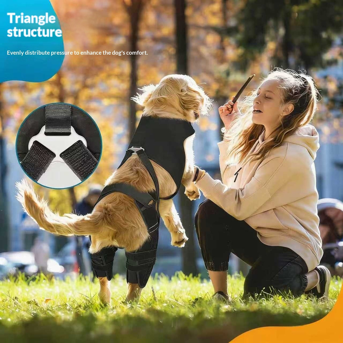 Dog Rear Back And Hind Leg Protective Cover