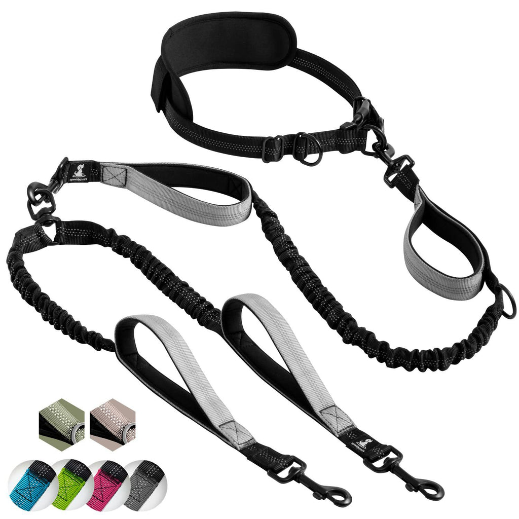 Multifunctional Reflective Dog Leash