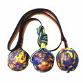 Fashion Personalized Pet Basketball Molar Rod