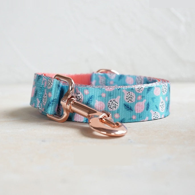 Durable Fruit-Print Nylon Pet Leash With Metal Buckle