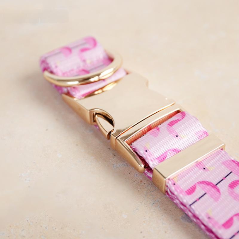 Self-Designed Soft Dog Collar And Leash Set