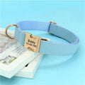 Small Corgi Dog Collar