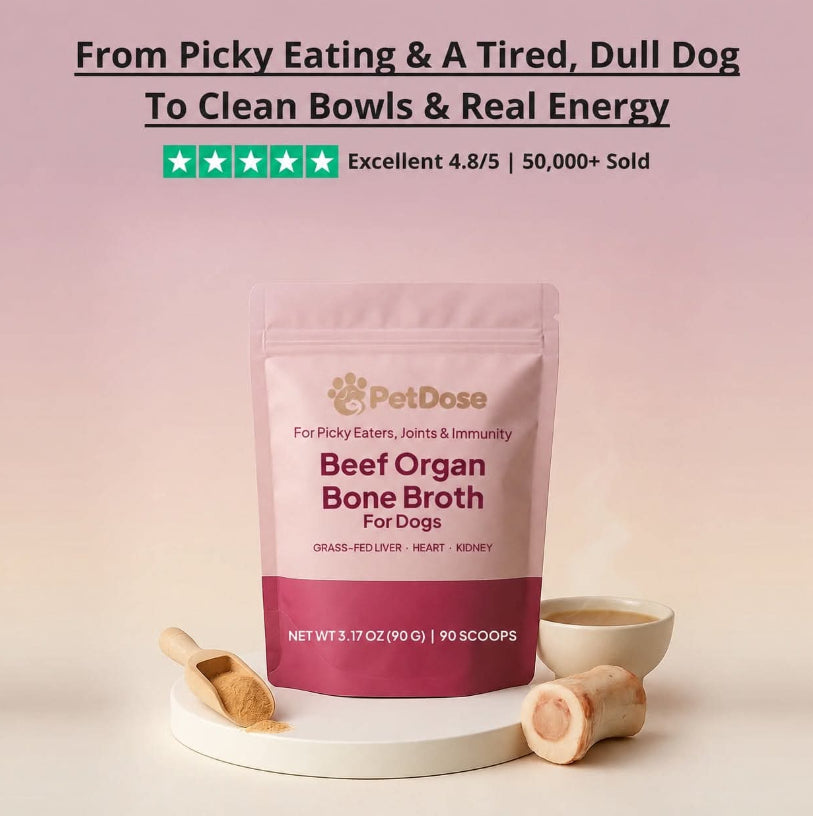 Dog Chew Toy For Chewing