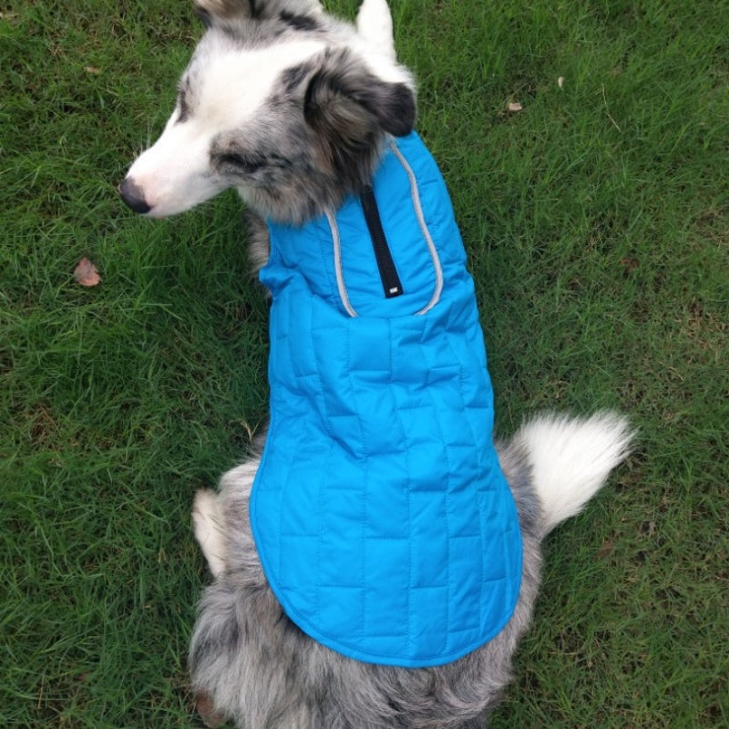 Autumn Winter Double Color Dog Clothes