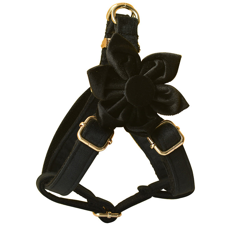 Black Gold Buckle Dog Harness