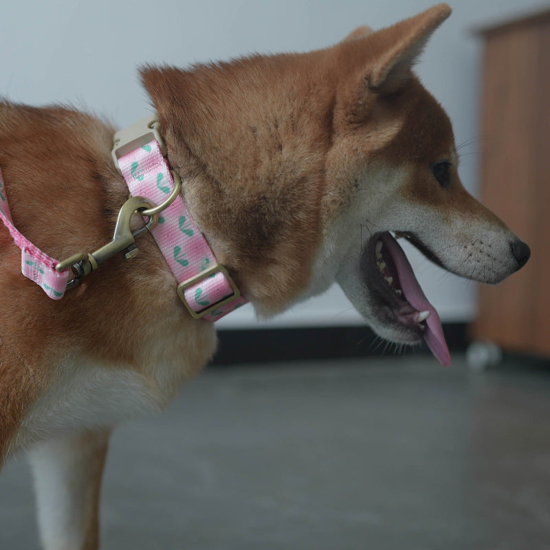 Adjustable Floral Nylon-Imitation Dog Collar
