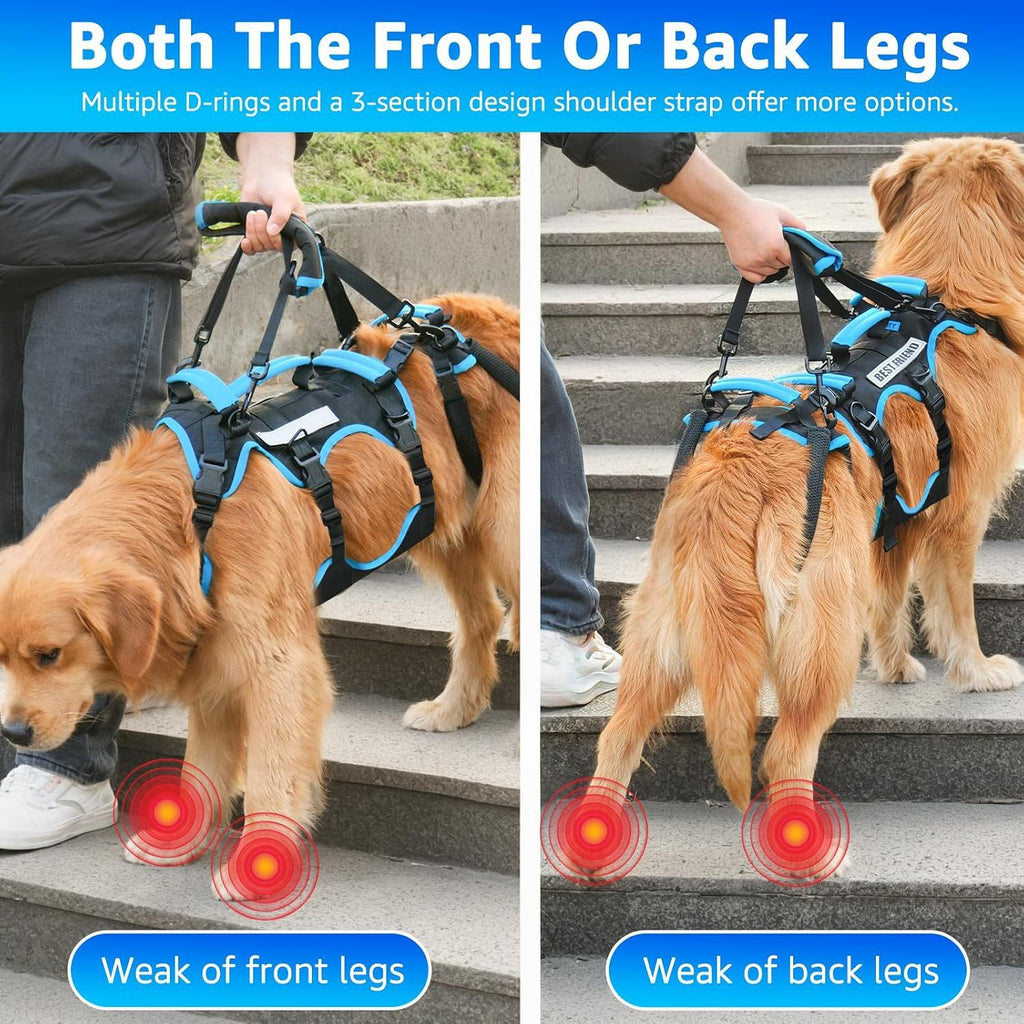 Large Breed Senior Dog Walking Harness