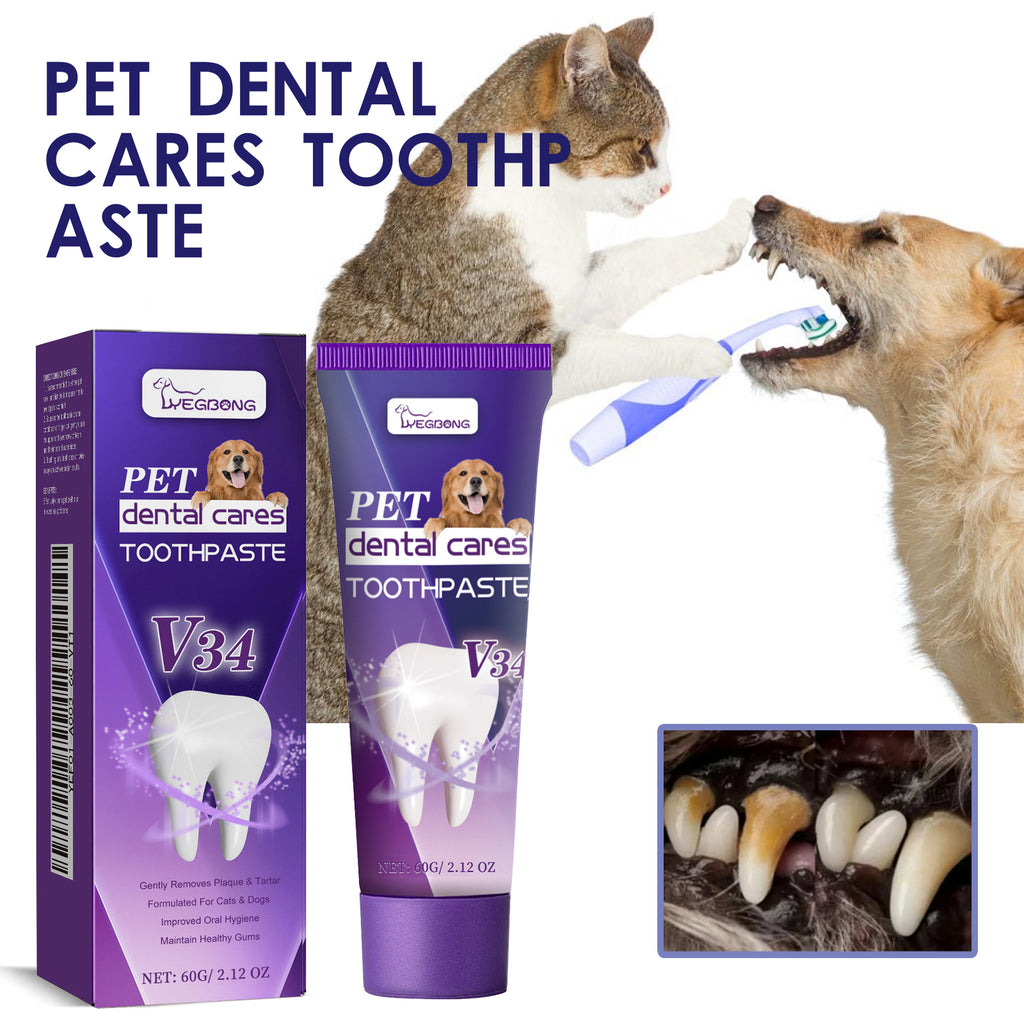 Pet V34 Toothpaste 60G 1Box