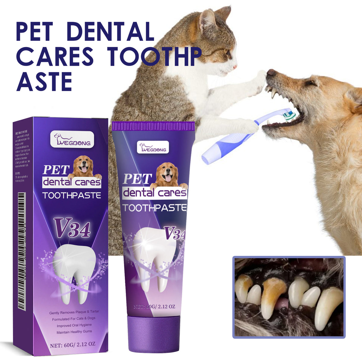 Pet V34 Toothpaste 60G 1Box
