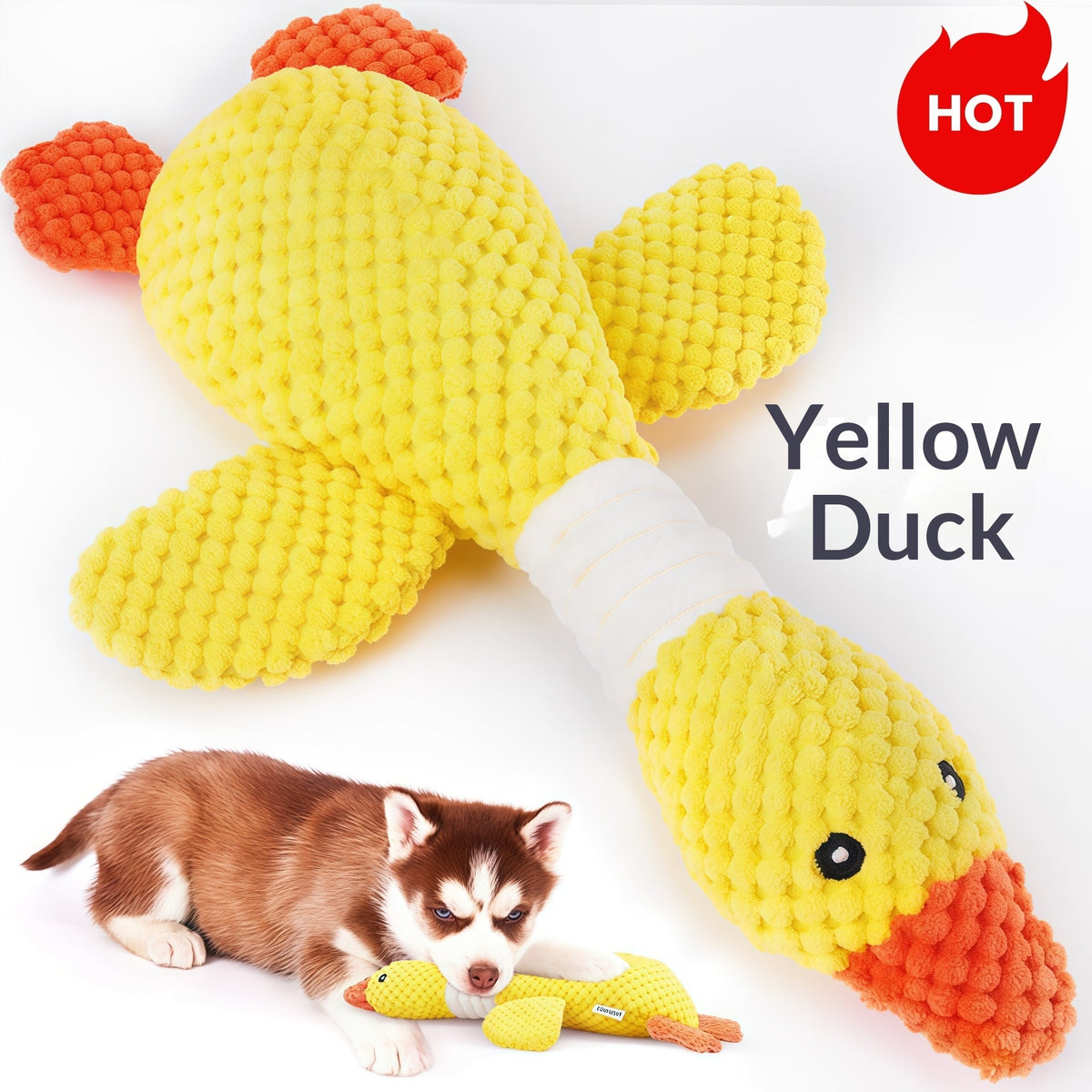 Dog Pet Toy Two-Tone Color