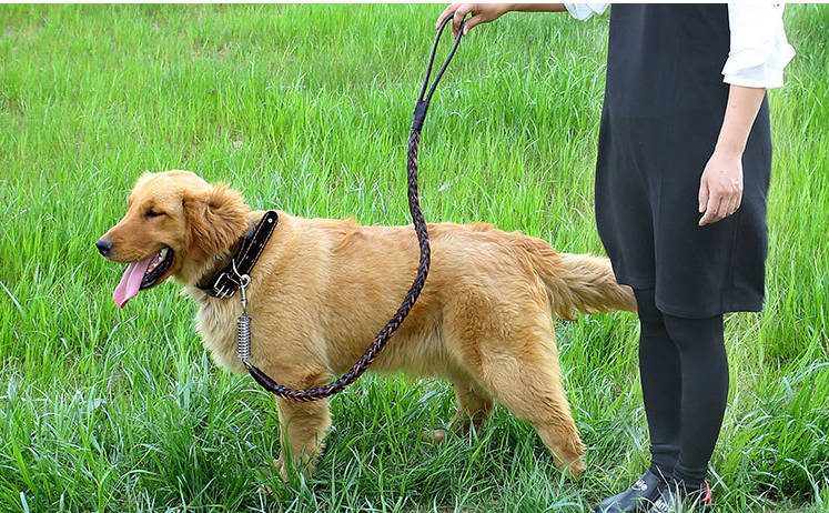 Leather Traction Rope Chain Explosion-Proof Punch Collar