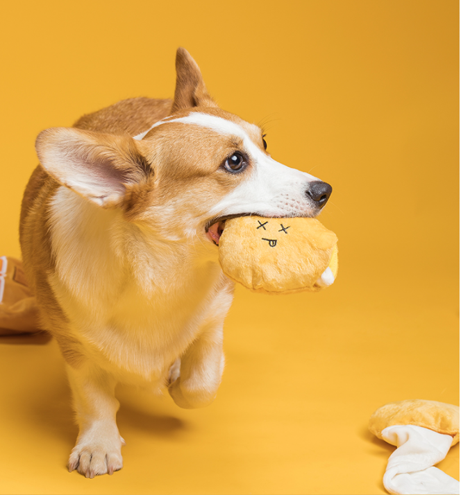 Ear Planet Pet Dog Creative Sounding Plush Educational Toy