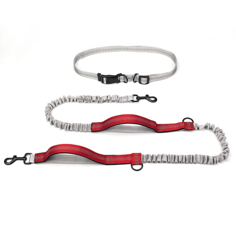 Outdoor Running Dog Leash