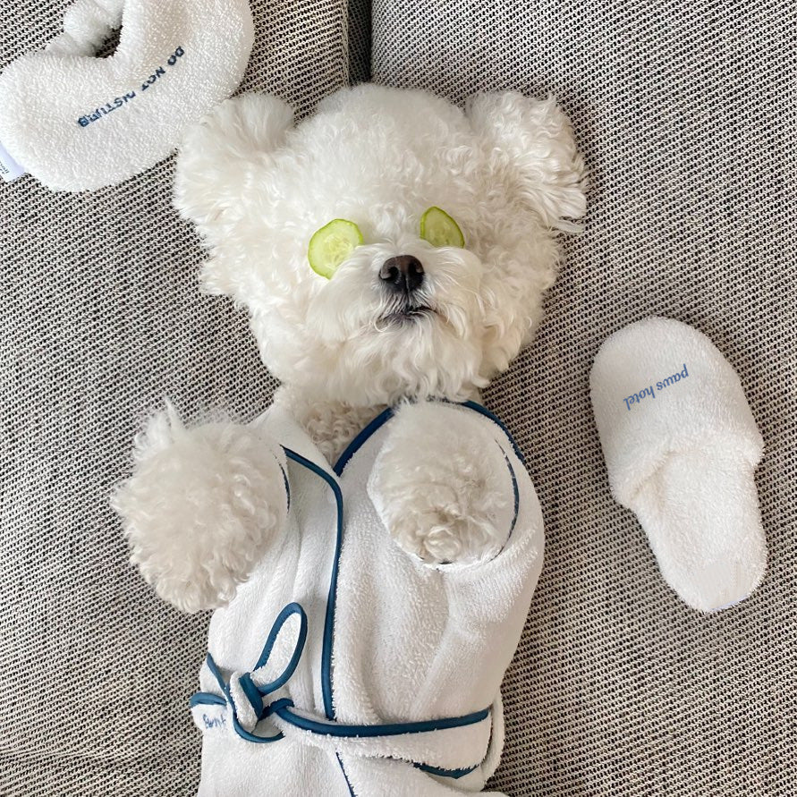 Ins Wind Hotel Wind Pet Bathrobe Photo Props Pajamas