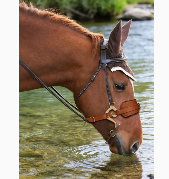 Cowhide Horse Bridle