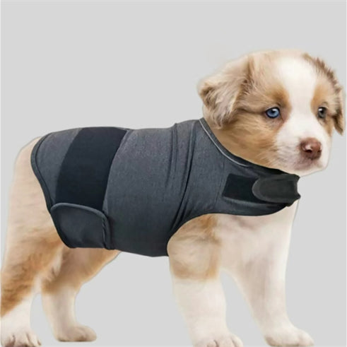 Calming Dog Anxiety Vest Jacket