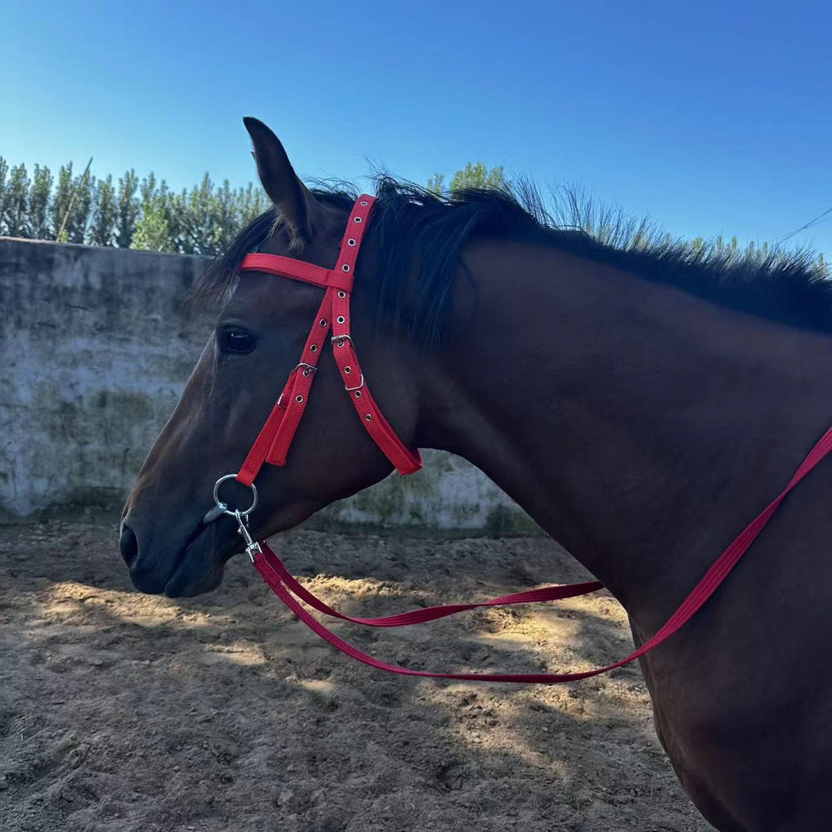 Fiber Horse Halter Bridle Rope