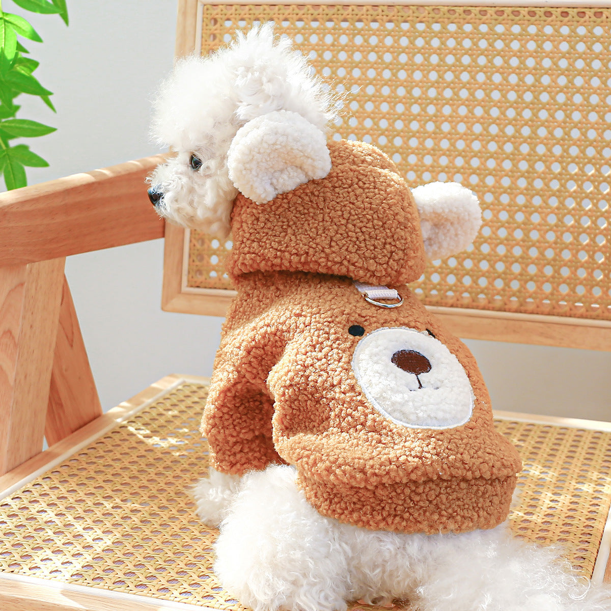 Lambswool Round Bear Dog Hoodie