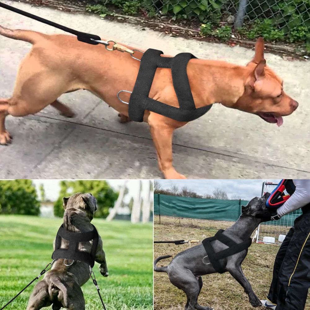 Soft Padded Dog Weight Pulling Harness