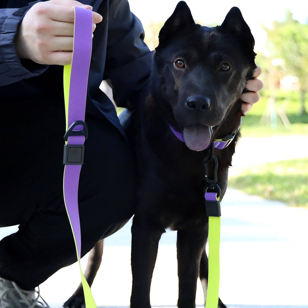 Honeycomb Embossed Dual-Color Pet Leash Set Is Stylish And Fashionable. The Embossed Surface Enhances The Leash'S Grip, Preventing Slippage