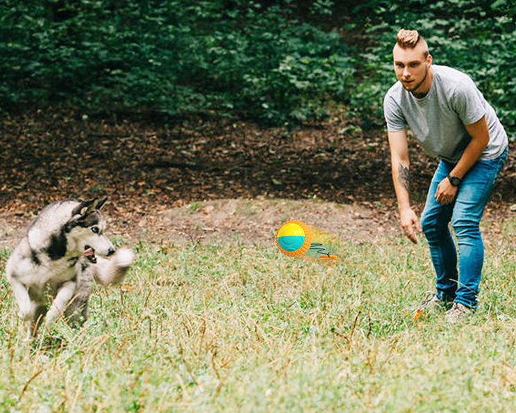 Draw Rope Dog Throwing Ball