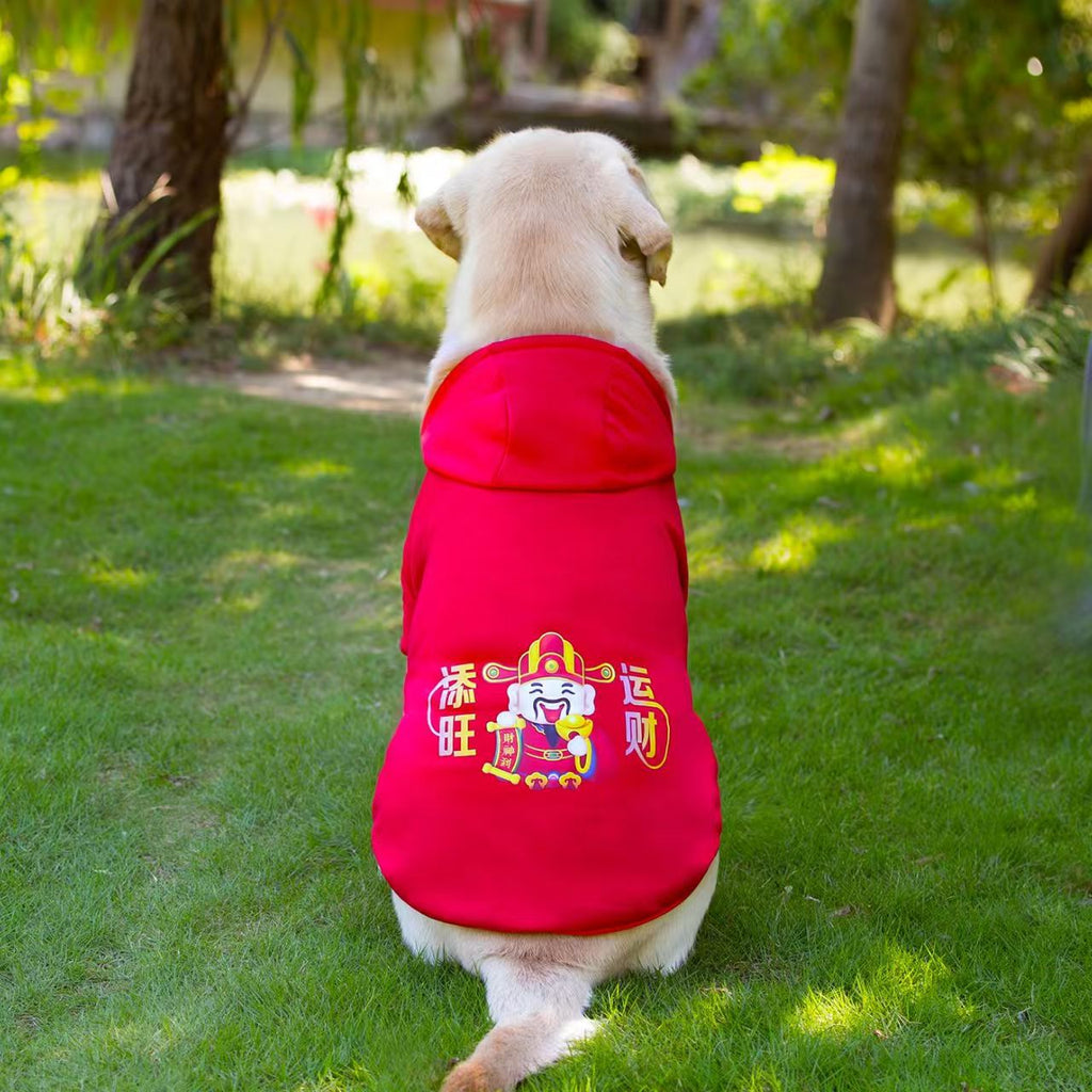 Two-Legged Sweatshirt for Medium and Large Dogs