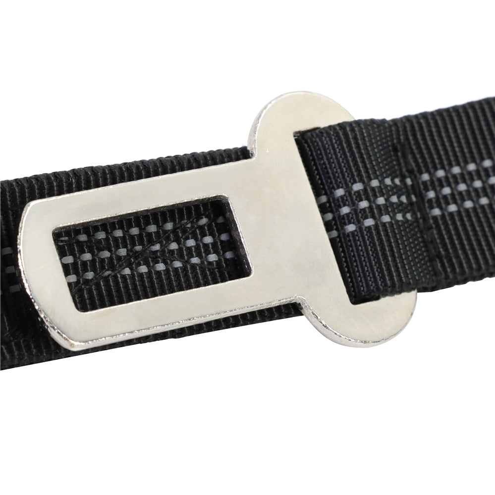 Adjustable Bungee Dog Leash With Car Seatbelt