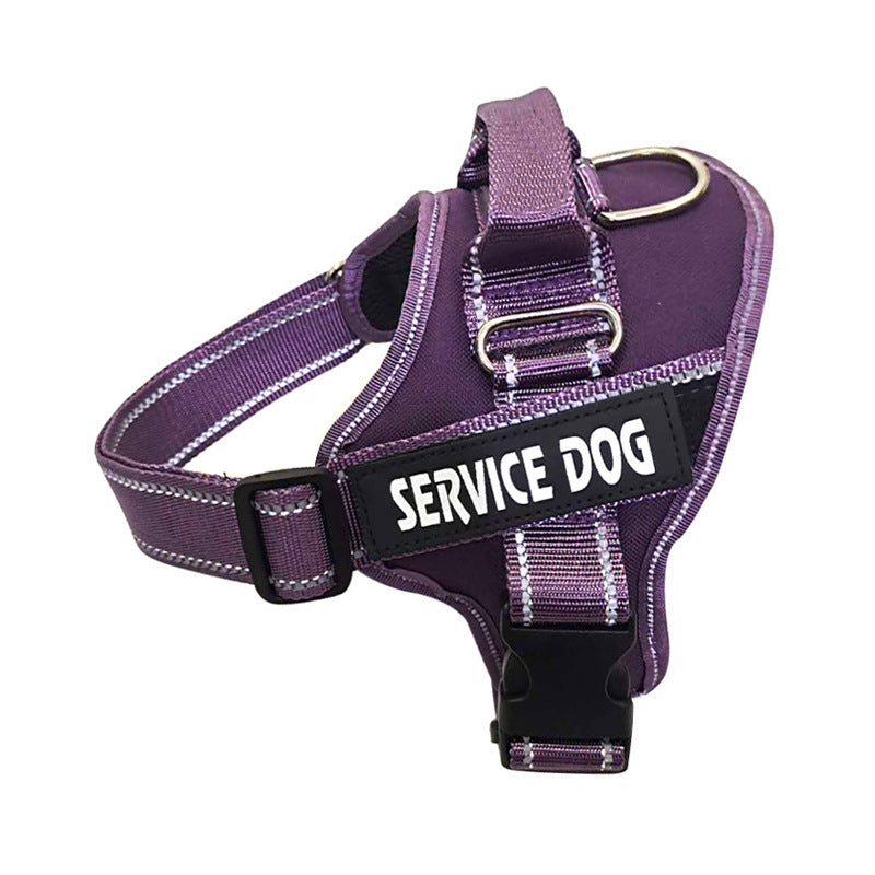 Personalized Pet Chest Strap