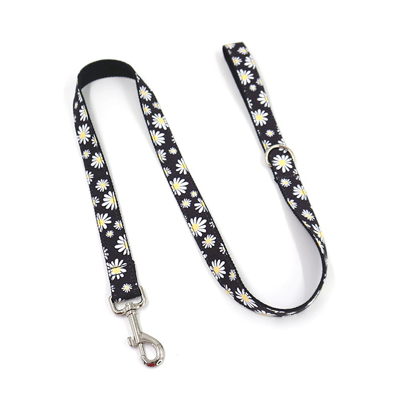 Engraved Dog Collar and Leash Set
