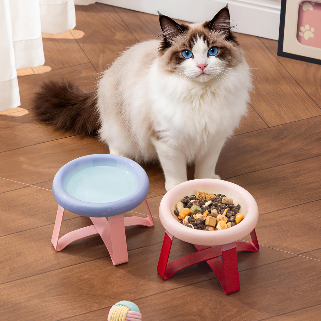 Candy-Colored Ceramic Pet Bowl