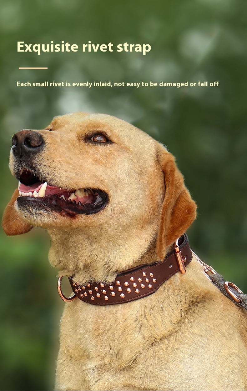 Dog Rivet Collar Anti-Bite