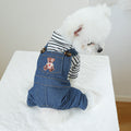 Cute Bear Dog Clothes