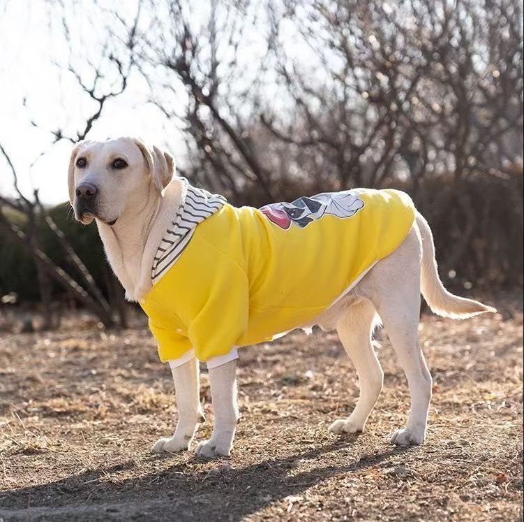 Two-Legged Sweatshirt for Medium and Large Dogs