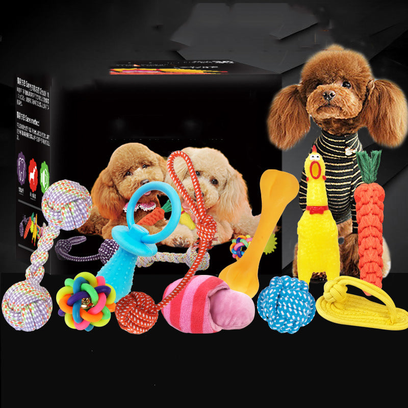 Vocal Dog Toy Set