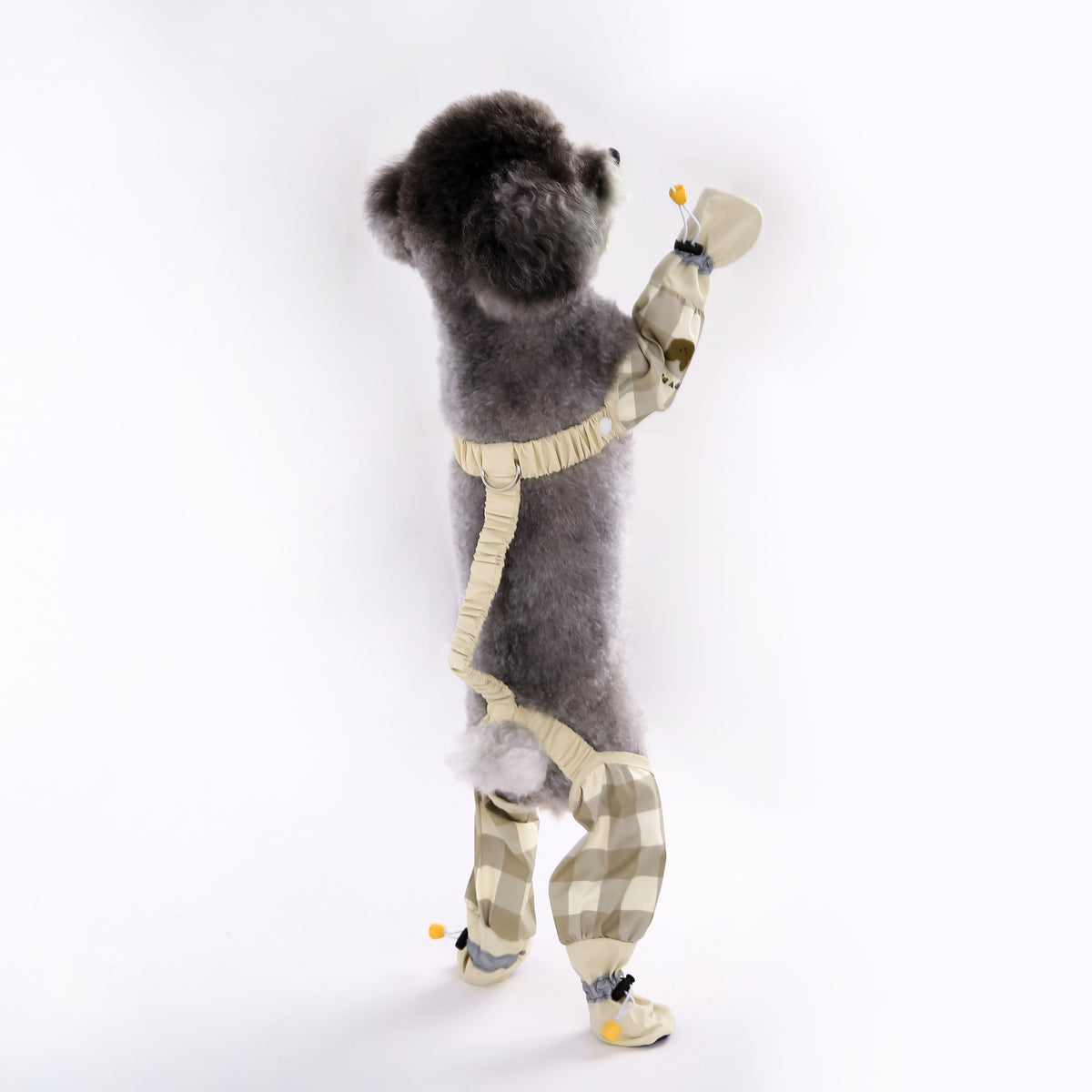 Autumn Winter Dog Outing Jumpsuit